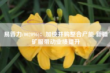易普力(002096)：加快并购整合产能 新疆矿服带动业绩提升