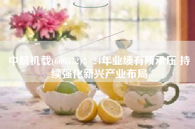 中航机载(600372)：24年业绩有所承压 持续强化新兴产业布局
