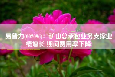 易普力(002096)：矿山总承包业务支撑业绩增长 期间费用率下降