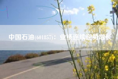 中国石油(601857)：业绩连续逆势增长