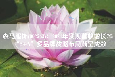 森马服饰(002563)：2024年实现营收增长7% “2+N”多品牌战略布局渐呈成效