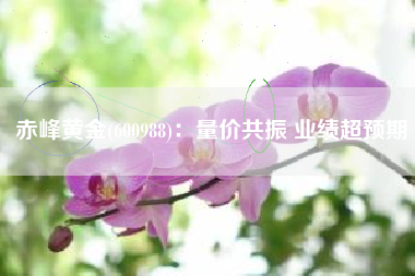 赤峰黄金(600988)：量价共振 业绩超预期