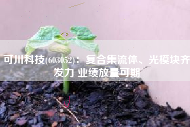 可川科技(603052)：复合集流体、光模块齐发力 业绩放量可期