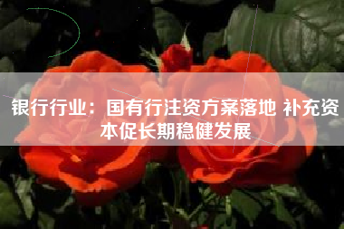 银行行业：国有行注资方案落地 补充资本促长期稳健发展