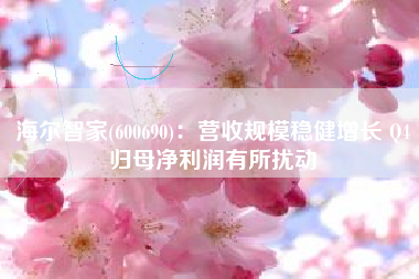 海尔智家(600690)：营收规模稳健增长 Q4归母净利润有所扰动