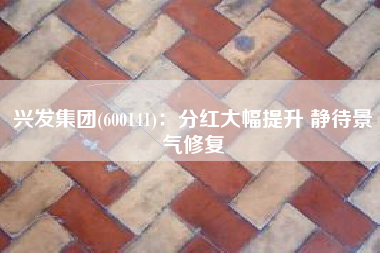 兴发集团(600141)：分红大幅提升 静待景气修复