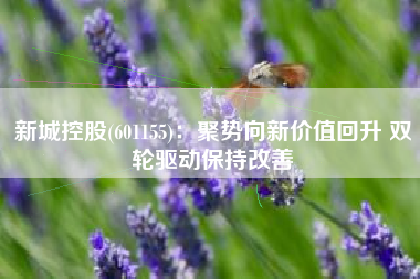 新城控股(601155)：聚势向新价值回升 双轮驱动保持改善