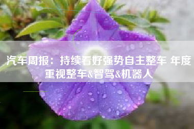 汽车周报：持续看好强势自主整车 年度重视整车&智驾&机器人