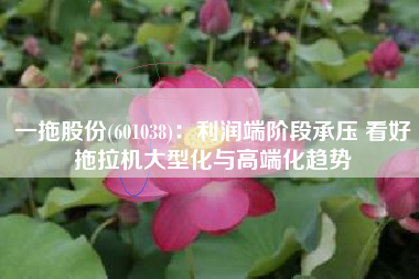一拖股份(601038)：利润端阶段承压 看好拖拉机大型化与高端化趋势