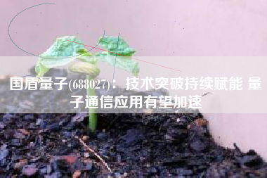 国盾量子(688027)：技术突破持续赋能 量子通信应用有望加速