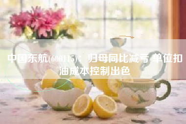 中国东航(600115)：归母同比减亏 单位扣油成本控制出色