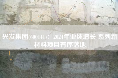 兴发集团(600141)：2024年业绩增长 系列新材料项目有序落地
