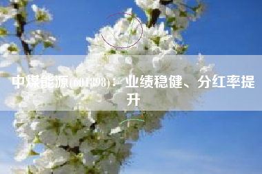 中煤能源(601898)：业绩稳健、分红率提升