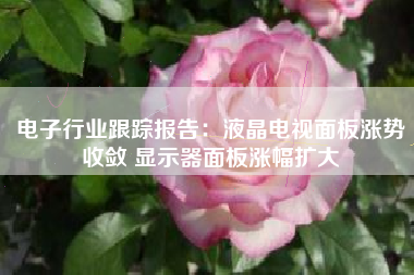 电子行业跟踪报告：液晶电视面板涨势收敛 显示器面板涨幅扩大