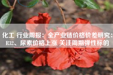 化工 行业周报：全产业链价格价差研究：R32、尿素价格上涨 关注周期弹性标的