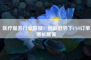 医疗服务行业周报：创新趋势下CXO订单增长显著