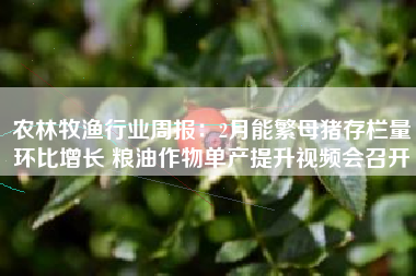 农林牧渔行业周报：2月能繁母猪存栏量环比增长 粮油作物单产提升视频会召开