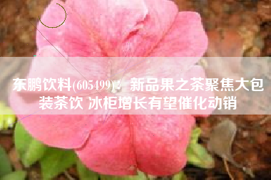 东鹏饮料(605499)：新品果之茶聚焦大包装茶饮 冰柜增长有望催化动销