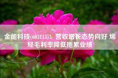 金能科技(603113)：营收增长态势向好 烯烃毛利率降低拖累业绩