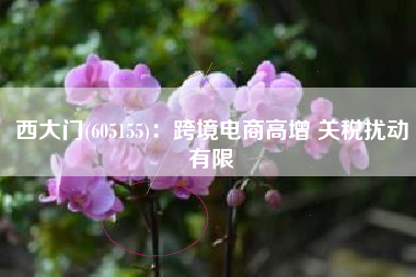 西大门(605155)：跨境电商高增 关税扰动有限