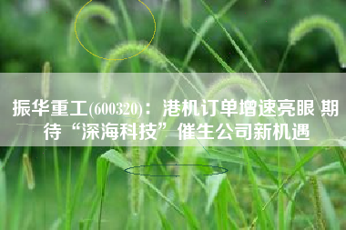 振华重工(600320)：港机订单增速亮眼 期待“深海科技”催生公司新机遇