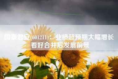 国泰君安(601211)：业绩超预期大幅增长 看好合并后发展前景