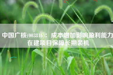 中国广核(003816)：成本增加影响盈利能力 在建项目保障长期装机