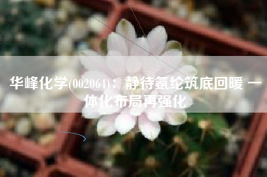 华峰化学(002064)：静待氨纶筑底回暖 一体化布局再强化