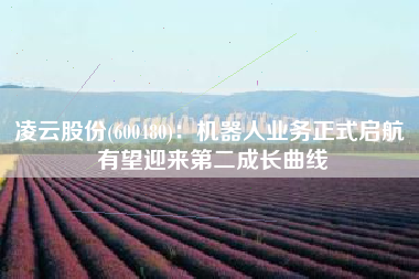 凌云股份(600480)：机器人业务正式启航 有望迎来第二成长曲线