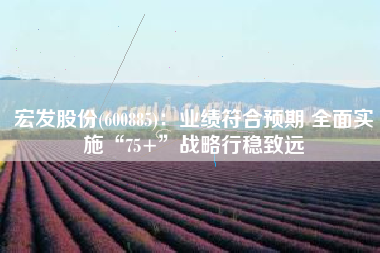 宏发股份(600885)：业绩符合预期 全面实施“75+”战略行稳致远
