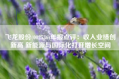 飞龙股份(002536)年报点评：收入业绩创新高 新能源与国际化打开增长空间