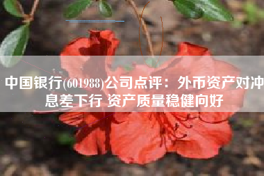 中国银行(601988)公司点评：外币资产对冲息差下行 资产质量稳健向好