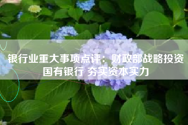银行业重大事项点评：财政部战略投资国有银行 夯实资本实力