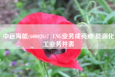 中远海能(600026)：LNG业务成亮点 能源化工业务并表