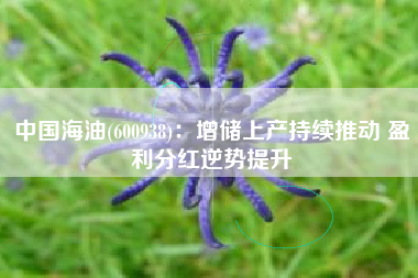 中国海油(600938)：增储上产持续推动 盈利分红逆势提升