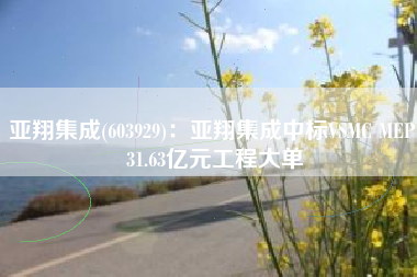 亚翔集成(603929)：亚翔集成中标VSMC MEP 31.63亿元工程大单