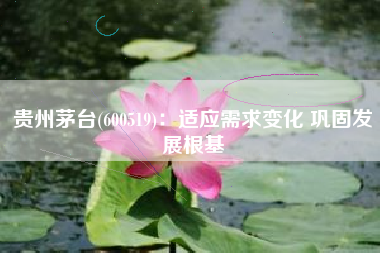贵州茅台(600519)：适应需求变化 巩固发展根基