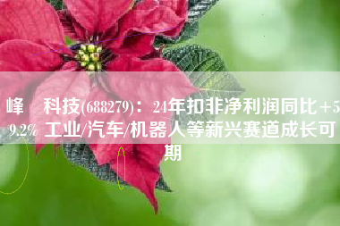 峰岹科技(688279)：24年扣非净利润同比+59.2% 工业/汽车/机器人等新兴赛道成长可期