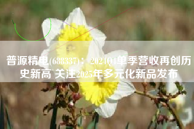 普源精电(688337)：2024Q4单季营收再创历史新高 关注2025年多元化新品发布