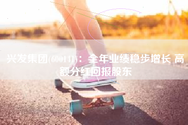 兴发集团(600141)：全年业绩稳步增长 高额分红回报股东
