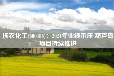 扬农化工(600486)：2024年业绩承压 葫芦岛项目持续推进