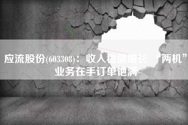 应流股份(603308)：收入稳健增长 “两机”业务在手订单饱满