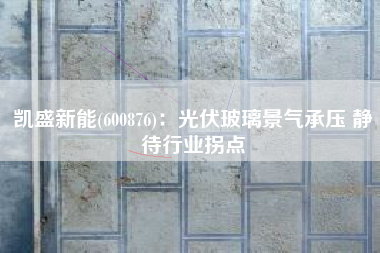 凯盛新能(600876)：光伏玻璃景气承压 静待行业拐点