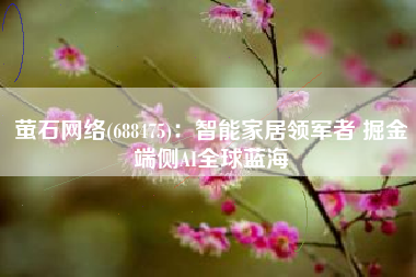 萤石网络(688475)：智能家居领军者 掘金端侧AI全球蓝海