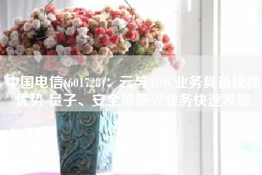 中国电信(601728)：云与AIDC业务具备规模优势 量子、安全等新兴业务快速发展