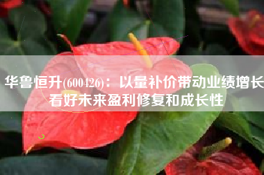 华鲁恒升(600426)：以量补价带动业绩增长 看好未来盈利修复和成长性
