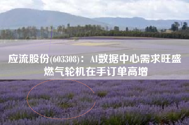 应流股份(603308)：AI数据中心需求旺盛 燃气轮机在手订单高增