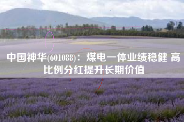 中国神华(601088)：煤电一体业绩稳健 高比例分红提升长期价值