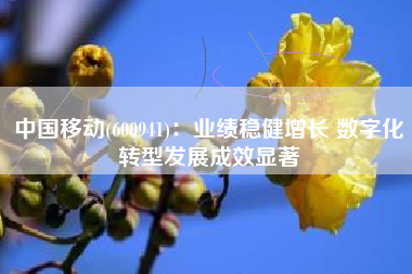 中国移动(600941)：业绩稳健增长 数字化转型发展成效显著