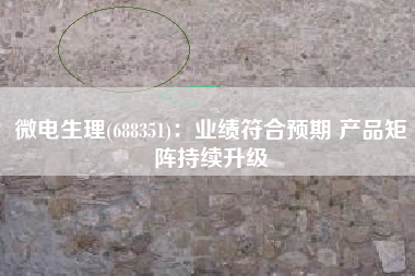 微电生理(688351)：业绩符合预期 产品矩阵持续升级